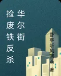 撿廢鐵反殺華爾街 封面