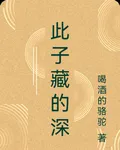 此子藏的深 封面