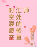 時空裂痕交匯處的修復師 封面