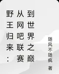 野王歸來：從網吧聯賽到世界之巔 封面