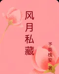 風月私藏 封面