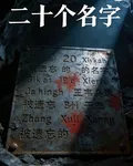二十個名字 封面