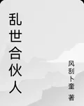 亂世合夥人 封面