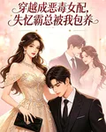 穿成惡毒女配失憶霸總被我包養 封面
