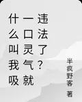 什麼叫我吸一口靈氣就違法了？ 封面