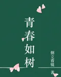 青春如樹 封面