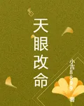 天眼改命 封面