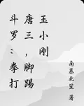 鬥羅：拳打唐三，腳踢玉小剛 封面