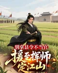 別拿縣令不當官，援至揮師定江山 封面