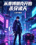 從賽博朋克開始殺穿諸天 封面
