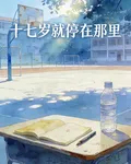 十七歲停在這裏 封面
