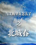 當沈騰夢女怎麼了之北城春 封面