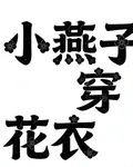 小燕子啊穿花衣 封面