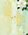 嬙姒 封面