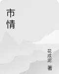 市情 封面
