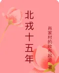 北戎十五年 封面