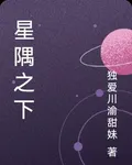 星隅之下 封面