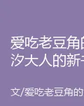 愛喫老豆角的汐大人的新書 封面