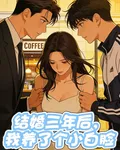 結婚三年後，我養了個小白臉 封面
