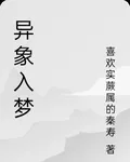 異象入夢 封面