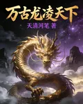 萬古龍凌天下 封面