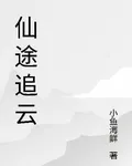 仙途追雲 封面