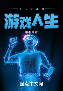 steam遊戲人生 封面