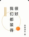 我們都裝得很好 封面