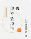 你不會掉下去 封面