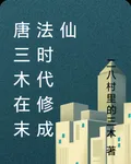 唐三木在末法時代修成仙 封面