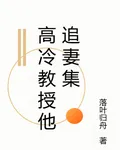 高冷教授他追妻集 封面
