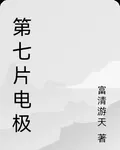 第七片電極 封面