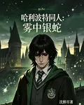 哈利波特同人：霧中銀蛇 封面