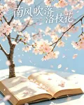 南風吹落洛枝花 封面