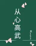 從心高武 封面