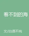 看不到的海 封面