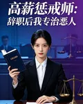 高薪懲戒師：辭職後我專治惡人 封面
