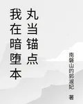 我在暗墮本丸當錨點 封面