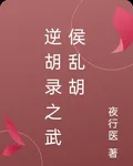 逆胡錄之武侯亂胡 封面