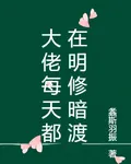 大佬每天都在明修暗渡 封面