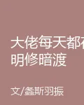 大佬每天都在明修暗渡 封面