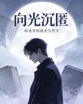 向光沉匿 封面
