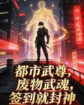 都市武尊，廢柴武魂，簽到就封神 封面