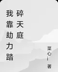 我靠劫力踏碎天庭 封面