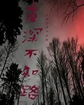 夜深不知路 封面