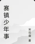 賽鎮少年事 封面