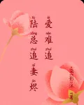 陸總追妻燼愛難追 封面