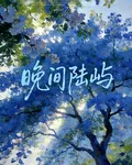 晚間陸嶼 封面