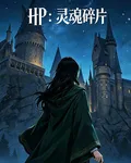 HP：靈魂碎片 封面
