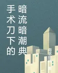 手術刀下的暗流暗潮典 封面